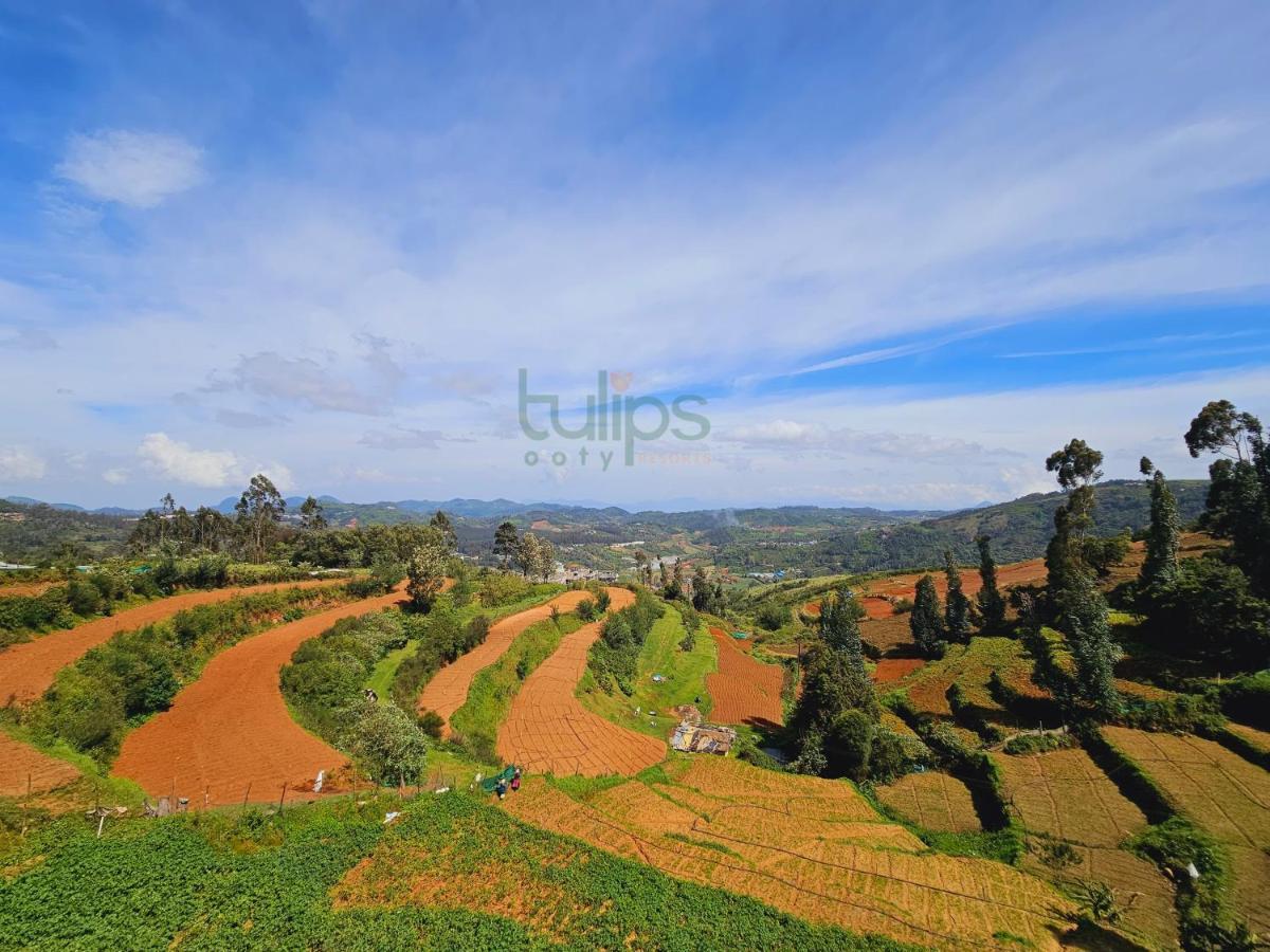 Tulips Village Resorts Ooty Eksteriør billede